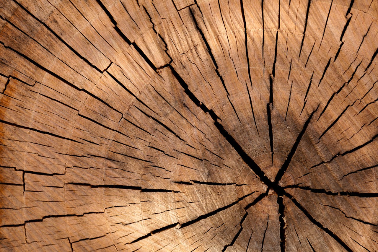 services-04 Detailed view of rustic wooden texture, showcasing natural patterns and cracks.