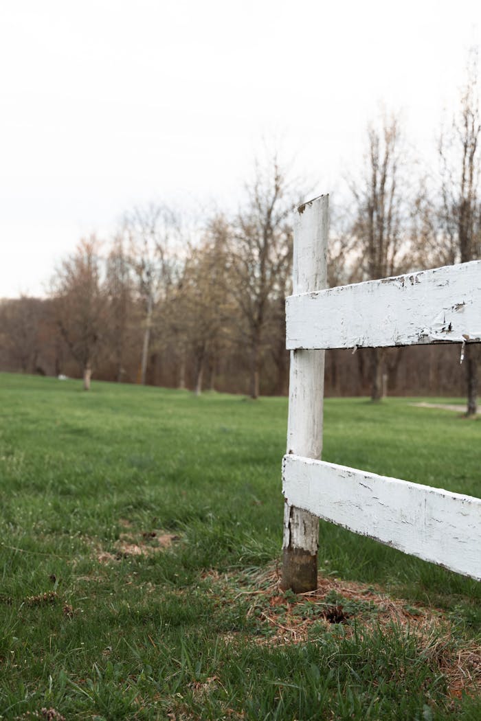 A weathered white fence post stands in a serene spring meadow with budding trees.